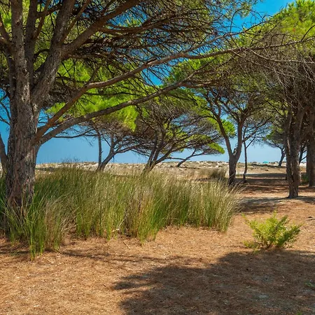 - Insel Sardinien 27734 Budoni