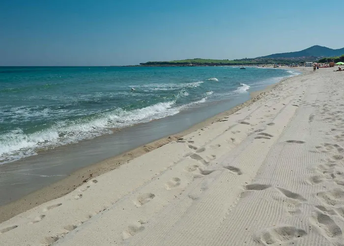 - Insel Sardinien 27734 公寓 *